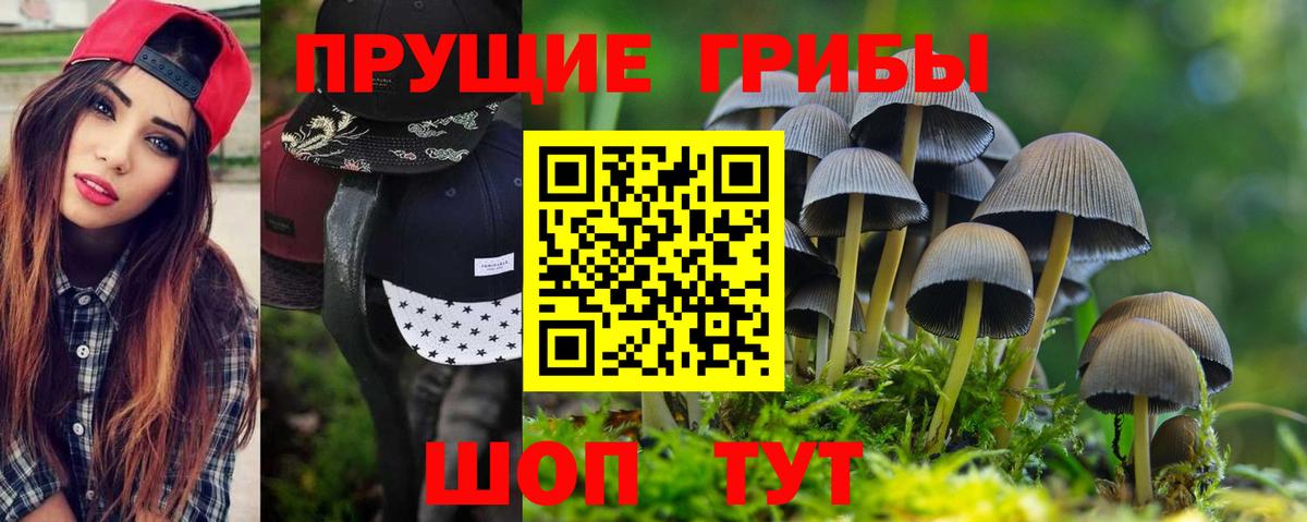 Чита  где купить наркотик  Псилоцибиновые грибы прущие грибы  Вход с VPN  Галлюциногенные грибы Magic Shrooms 